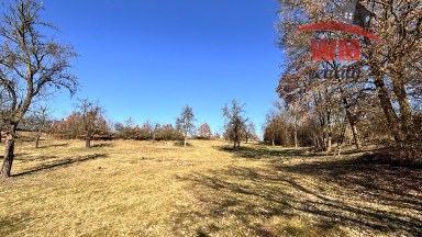 Prodej stavebního pozemku v Dalovicích