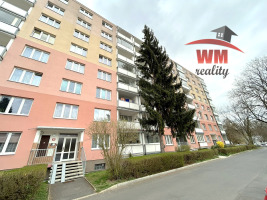 Pronájem bytu 1+1 v Chodově